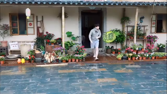 最新蘑菇屋，自然與生活完美融合的夢幻之地