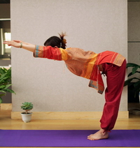 探索瑜伽奧秘與魅力的最新拜日式