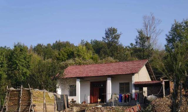 新時(shí)代田園生活揭秘，鄉(xiāng)村農(nóng)村的最新風(fēng)貌與體驗(yàn)