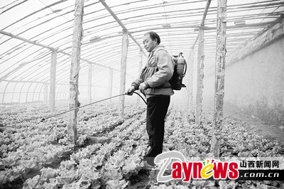 最新農(nóng)藥抽檢結(jié)果出爐，守護(hù)農(nóng)田安全，你我他的共同責(zé)任