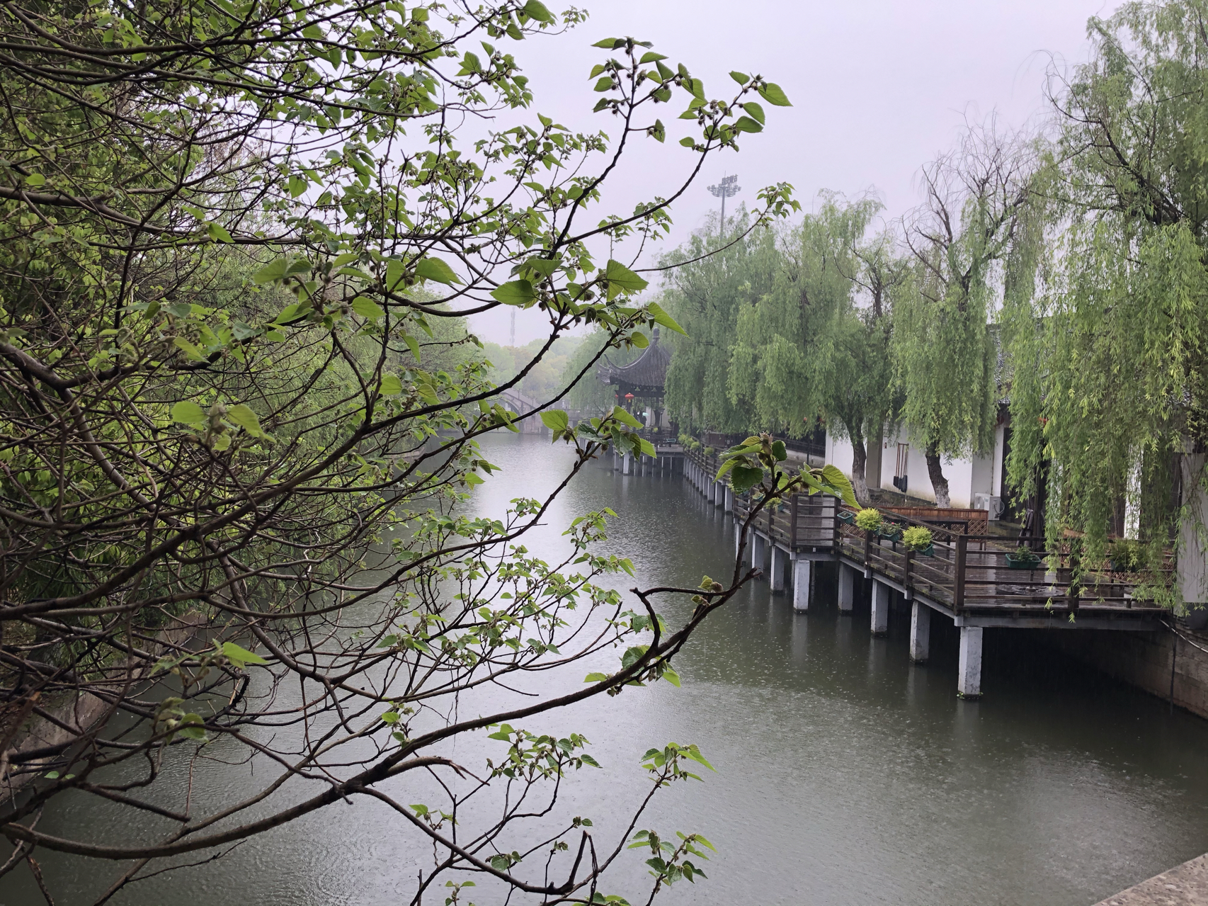 江南煙雨最新，自信與成就感的成長之旅