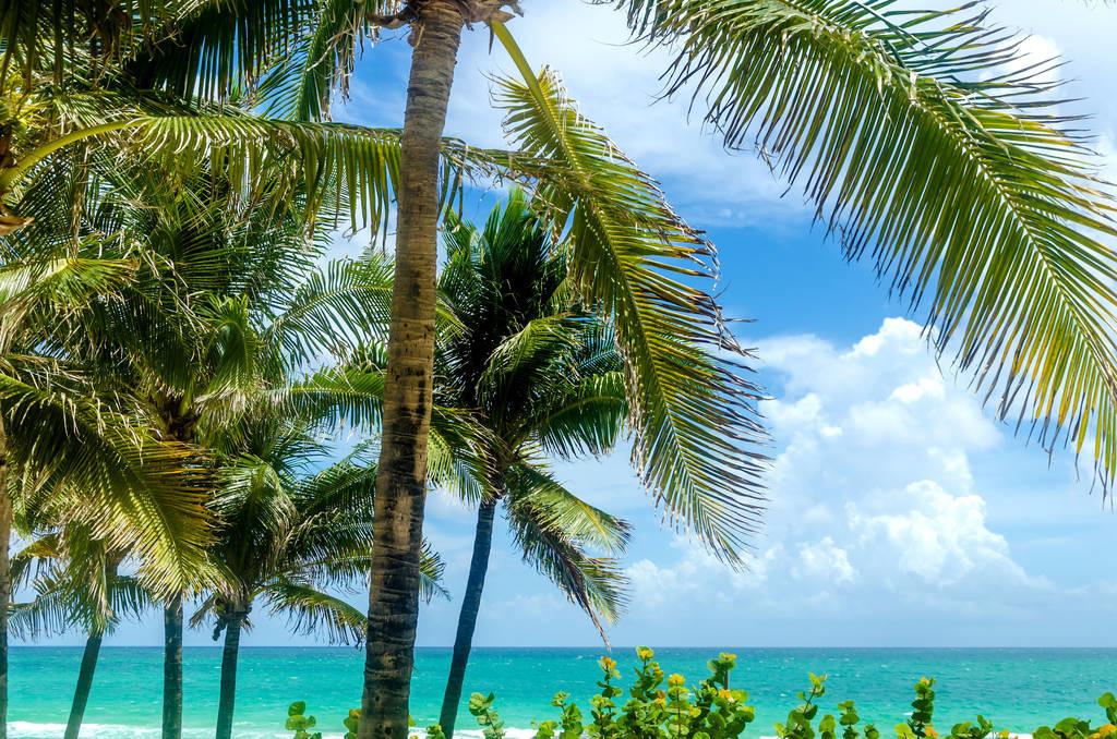 科技重塑旅行體驗(yàn)，最新付費(fèi)機(jī)場(chǎng)概覽