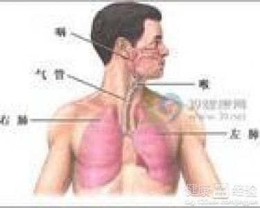 咸豐肺炎最新全面指南與詳解，癥狀、治療、步驟解析
