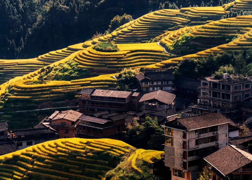 金秋天最新時(shí)尚潮流，獨(dú)特風(fēng)情展現(xiàn)魅力風(fēng)采