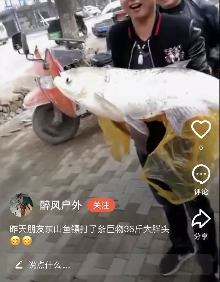 射魚(yú)神器進(jìn)化升級(jí)，學(xué)習(xí)變革與自信成就之源