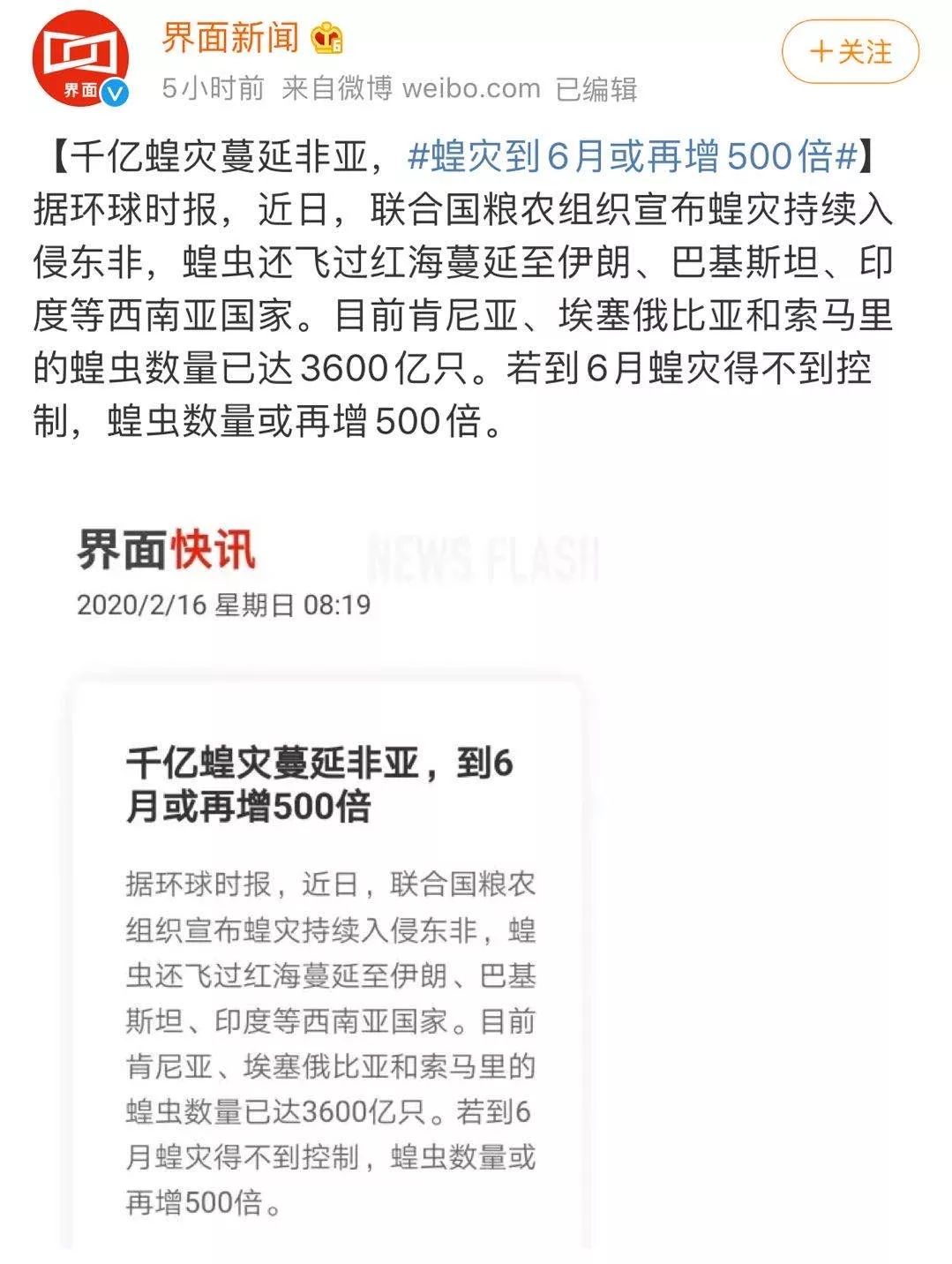 世界蝗災(zāi)最新動態(tài)，探索自然美景的輕松之旅