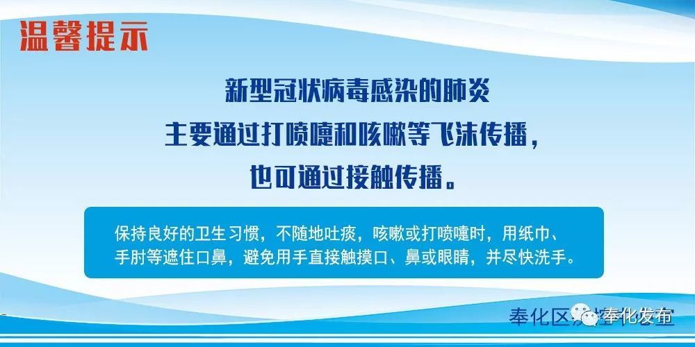 余姚最新確診背后的自然探索之旅，重拾心靈寧靜與平和