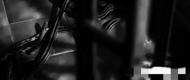 香港最新房價趨勢展望，2025年分析與展望