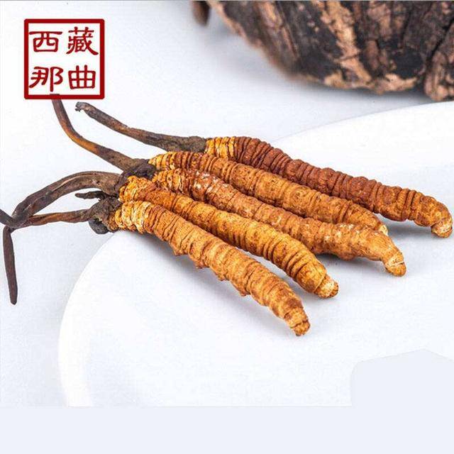 揭秘2025年蟲草最新價格，探尋小巷中的秘密行情！