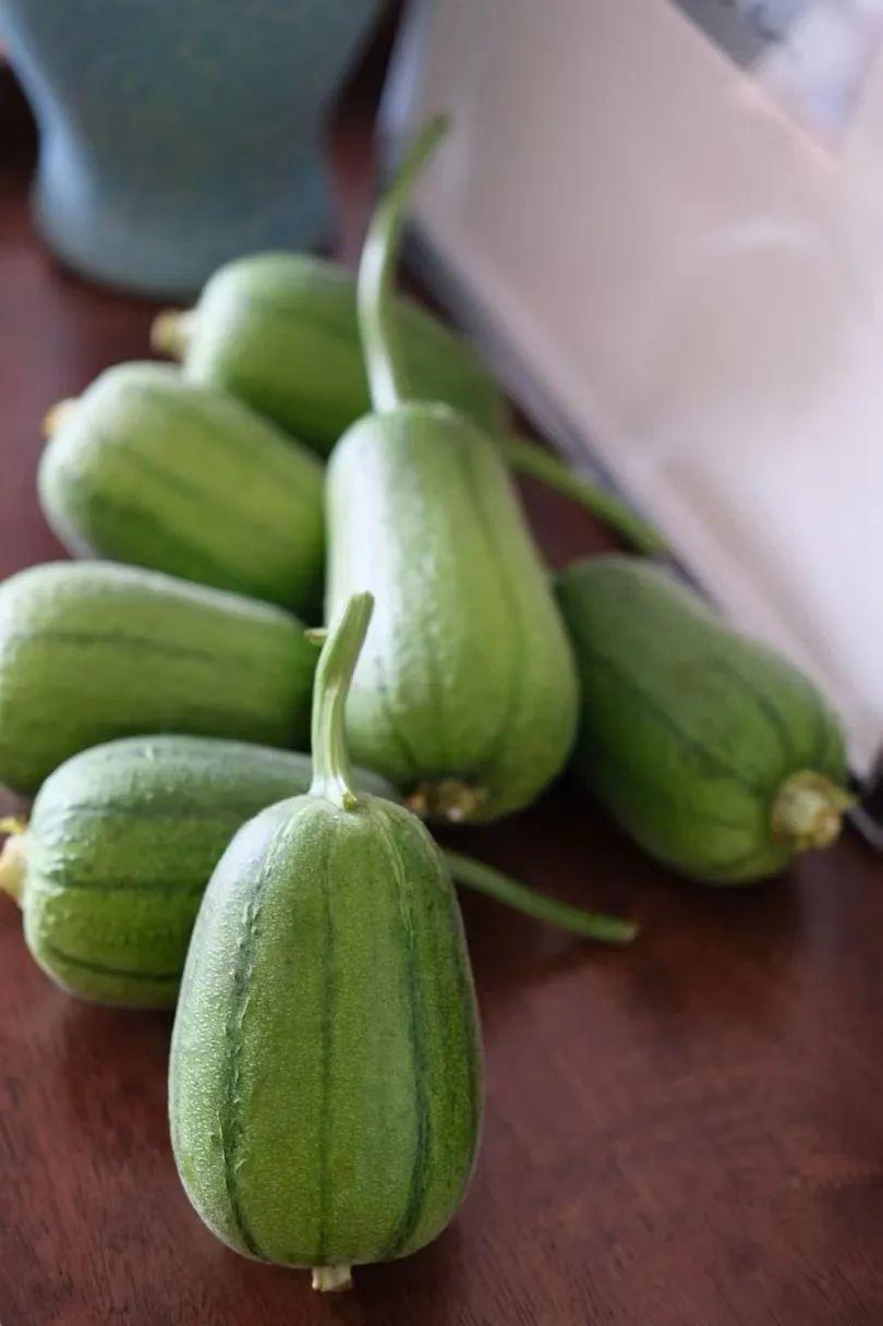 蘋果絲瓜最新版，全新升級魅力體驗