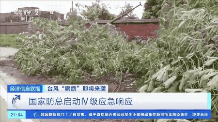 超強(qiáng)臺風(fēng)鸚鵡來襲，最新路徑動(dòng)態(tài)全解析???