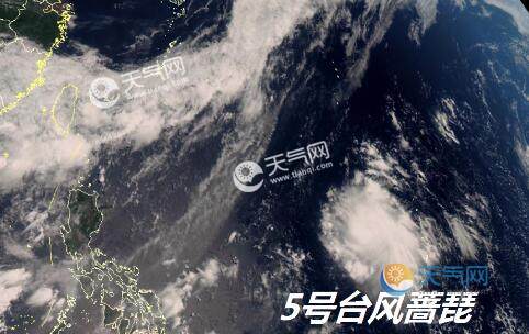 最新實(shí)時(shí)臺(tái)風(fēng)風(fēng)力查詢(xún)指南，風(fēng)力信息及查詢(xún)步驟全解析