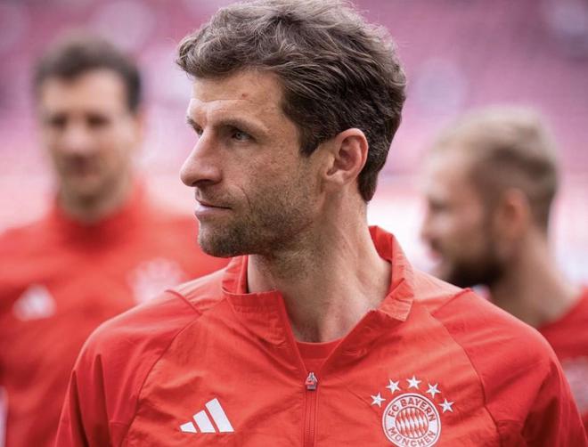 慕尼黑最新動(dòng)態(tài)，城市生活的溫馨日常