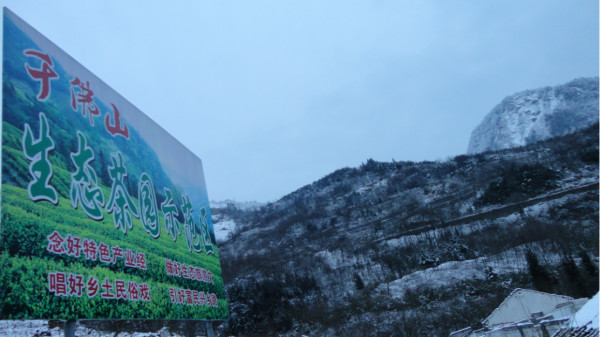 千佛山綿陽(yáng)最新探索，巷弄深處的獨(dú)特風(fēng)味之旅