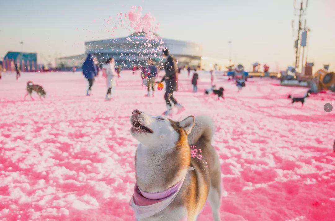 小信的世界最新科技前沿產(chǎn)品亮相，生活變革從此刻啟程