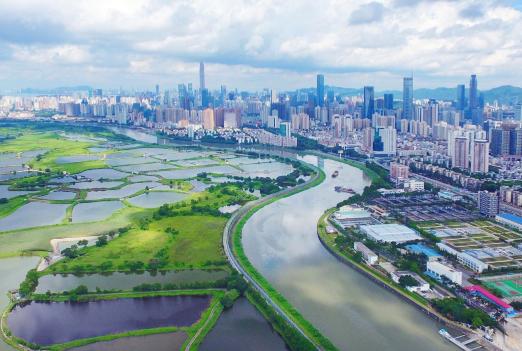 當(dāng)下流行語探尋之旅，與大自然共舞，尋找內(nèi)心平靜之旅